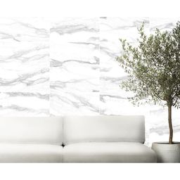Colosseum White (Matt) R10 120 x 60