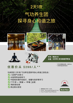 Qigong Wellness Trip