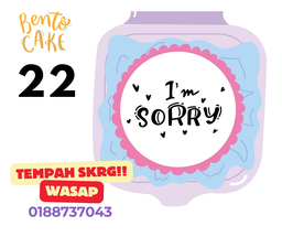 Bento Cake #22 I am Sorry
