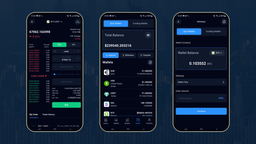 DIGITAL TRADING TRADING PLATEFORM WITH FLUTTER APPLICATION