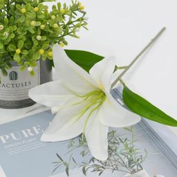 Boquês/Flores para Decoração  5 Ramos