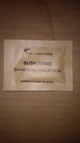 Bush Sitao 15 seeds