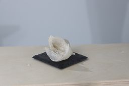 Royal Imperial Edible Bird's Nest (EBN)- Dried and Hand-Cleaned Premium Nest (50g)/(100g)