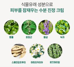 [보습] 모이스처 수분 크림 | [Hydration&Soothing] Moisture Cream