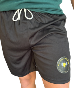 Men's Quick Dry Gym Shorts 
