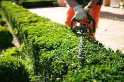 Mini Property Makeover