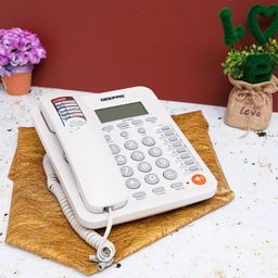 GEEPAS TELEPHONE FIXE GTP7220