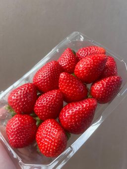 Berries