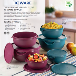 TC Ware Teal Bowls With Lid 2.5lt + 5lt ( PS202+ PS204 )