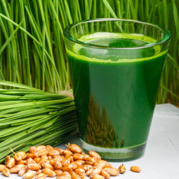 Wheatgrass Shot