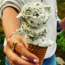 Mint Chocolate Chip Ice Cream