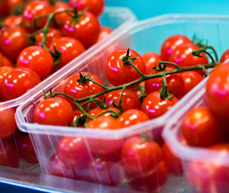 Cherry Tomatoes (Punnet) 250g