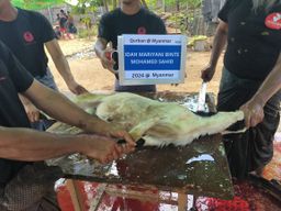 [Myanmar] - Goat