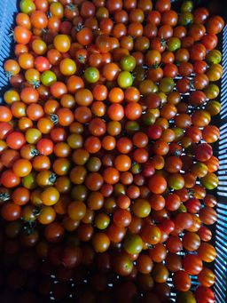 200g cocktail tomatoes