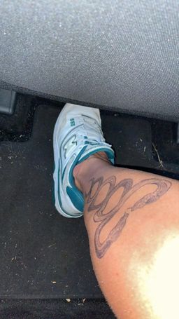 Equilibrio de serpientes - GZ 594