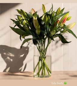 LILIES VASE ARRANGEMENT