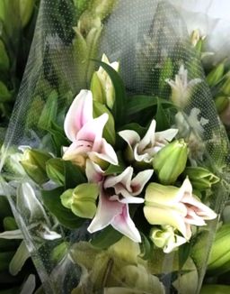 LILIES PAPER WRAP