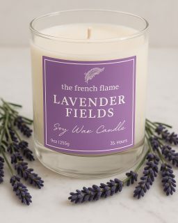 Lavender Fields 💜🪻