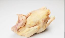 A- Ayam Kampung 1.3kg