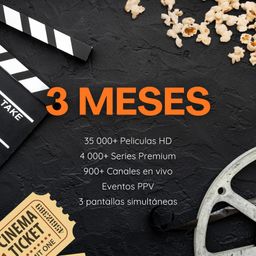 3 Meses