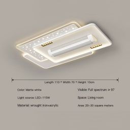 Large Rectangular Fan Light – Matte White