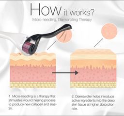 DERMA ROLLER PRO