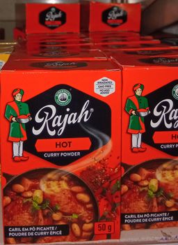 Robertsons Rajah Hot Curry Powder 50gr