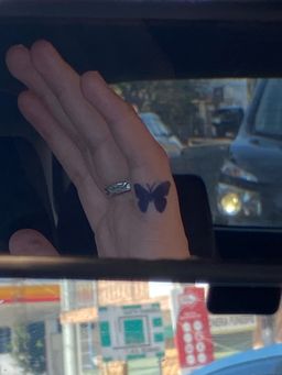 Ala Suave - GZ 023.1