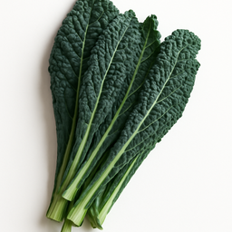 Dinosaur Kale (1/2 lb bunch) / Kale Dinosaurio (½ lb)