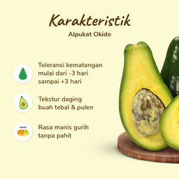 Alpukat Okido Premium Size L 500-700 gram 1pcs