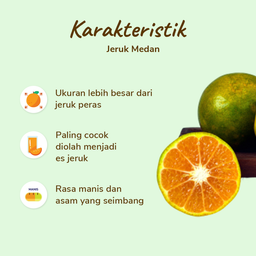 Jeruk Medan pack 4-5 pcs 450-500 gram