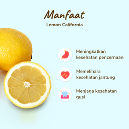 Lemon California Lokal pack 3-5 pcs 450-500 gram