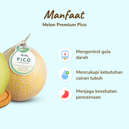 Melon Pico Premium - Size L 900gr - 1.2kg/Pcs