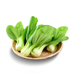Baby Pakcoy Hydroponic 200gram