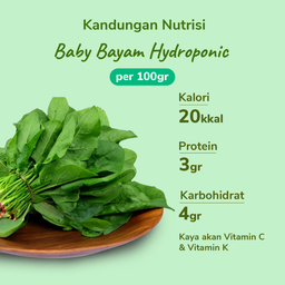 Baby Bayam Hydroponic 100gram