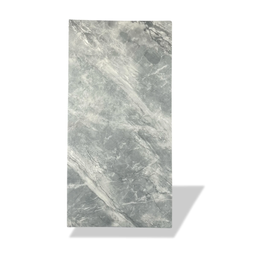 SET DE 10 LAMINAS DE RECUBR. P/PARED COLOR CEMENTO URBANO 60x30 CM