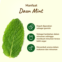 Daun Mint 50gram