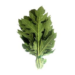 Daun Pepaya 250gram