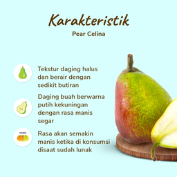 Pear Celina 4-6 pcs 750-800 gram