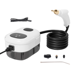 PISTOLA DE VAPOR PARA LIMPIEZA 2500W