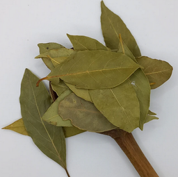Bay Leaves 100g / Hojas de Laurel 100g