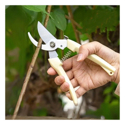 TIJERA PARA PODAR JIN DAO BAO