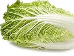 Chinese Cabbage