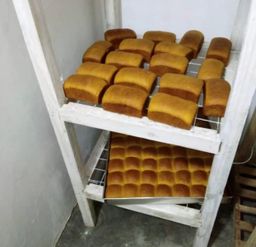 Oven ya Gesi ya mikate 50 