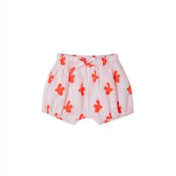 Poppy Red (Bird)