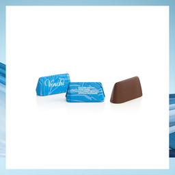 NO ADDED SUGAR CREAMY COCOA AND HAZELNUT (10PCS/100G)