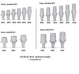 ICX Premium Bone Level IMPLANT Ø4.8