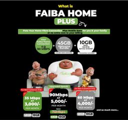 Faiba home 60Mbps 