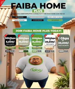 Faiba home 60Mbps 