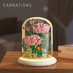 Carnations